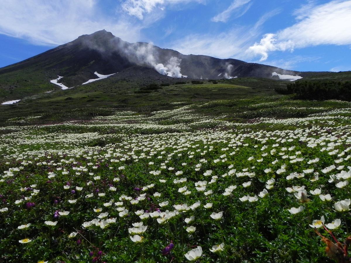 Asahidake Onsen Hotel Deer Valley Higashikawa Екстериор снимка